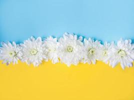 Blue and yellow background with white flowers on it. Stand with Ukraine photo