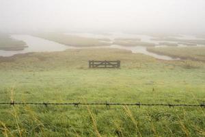 Foggy day over the wetlands, Burgh-Haamstede, Zeeland, The Netherlands. photo