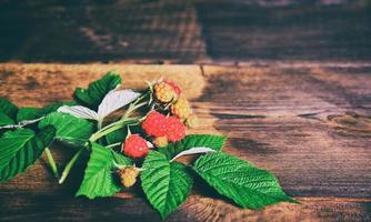 Green branch with raspberry berries photo