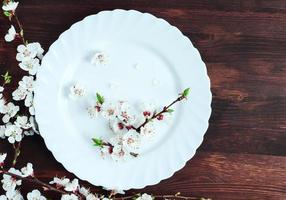 empty round white plate photo