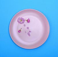 empty round ceramic pink plate on a blue background photo