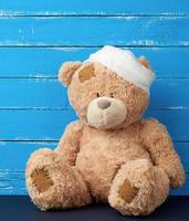el oso pardo triste se sienta con la cabeza vendada médica blanca vendada foto