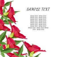 blooming buds of red hibiscus and green leaves, angular layout of the festive background photo