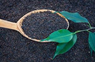 té seco en una cuchara de madera con hojas verdes foto