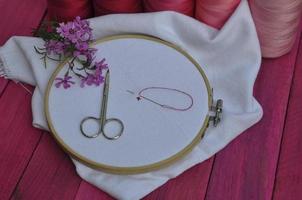 white canvas cross-stitch in the hoop photo