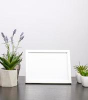 empty white frame, flowerpot with flower on a black table photo