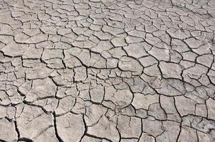 cracked by drought the ground photo