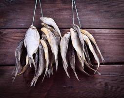 Cured fish hanging on a rope photo