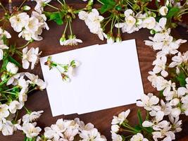 hojas de papel en blanco entre ramas de cerezo en flor foto