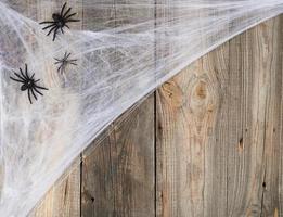 white spider web with black spiders on a gray wooden background from old boards photo