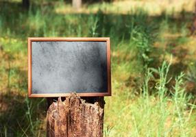 marco de madera negro vacío colgado en el tronco del árbol foto