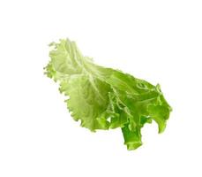 green lettuce leaf isolated on white background, healthy food photo