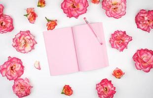 open notebook with pink blank pages on a white background and petals of a pink roses photo