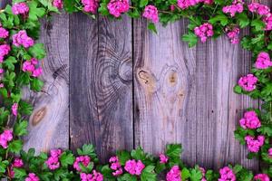 Pink flowering hawthorn branches along the perimeter of the wooden surface photo