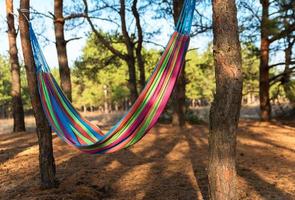 a textile hammock hanging between two pines photo