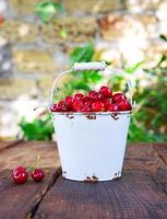 Red ripe cherry in a white iron bucket photo