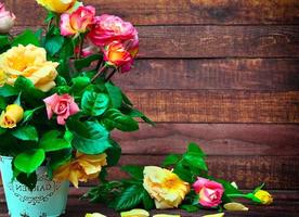 bouquet of flowering multicolored roses photo