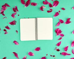 cuaderno abierto con páginas blancas en blanco sobre un fondo verde foto