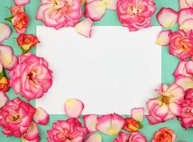 white paper sheet and buds of pink roses photo