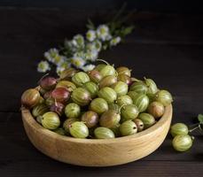 bayas maduras de grosella espinosa verde en un cuenco de madera foto