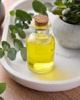 botella de vidrio transparente con aceite amarillo y rama de eucalipto, producto cosmético foto