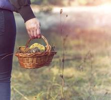 basket with forest mushrooms in a female hand photo