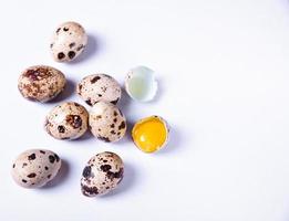 Fresh quail eggs in the shell photo