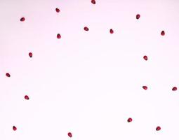 Red ladybugs on a pink background photo