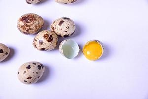 Group of quail eggs and one broken egg with yolk photo