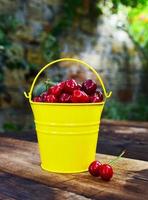 Ripe red cherry in a yellow metal bucket photo