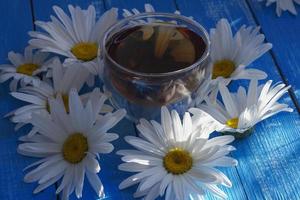 flores de manzanilla y té verde foto