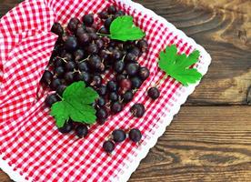 Black currant on a red napkin photo
