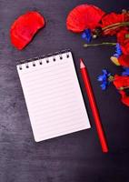 Empty paper notepad in line and red pencil photo