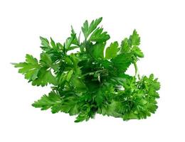 bunch of fresh green parsley isolated on white background photo