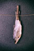 dried salted fish photo