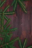 branch of spruce on a wooden brown background photo