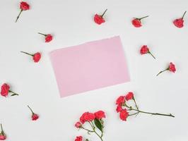 empty pink sheet of paper and buds of pink rose on white background photo
