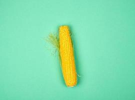 one ripe yellow corn cob on a green background photo