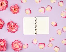 open notebook with white blank pages on a purple background photo