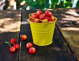 Ripe pink cherry in a metal yellow bucket photo
