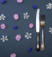 iron vintage cutlery fork and knife photo