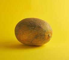 whole ripe melon on a yellow background photo