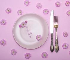 pink ceramic plate and a vintage knife with a fork photo