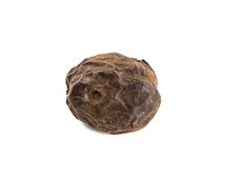 nut in dry brown shell isolated on white background photo