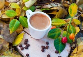 taza blanca con espresso en cáñamo entre hojas de otoño caídas foto