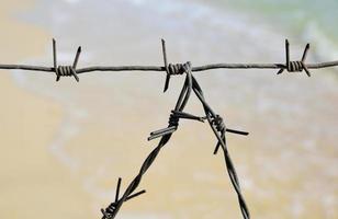 Fragment of the barbed wire fencing photo