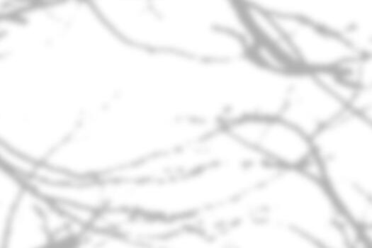 Natural shadow overlay effect on white texture background, for overlay on product presentation, backdrop and mockup photo