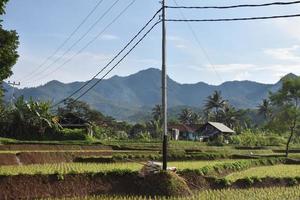 rice fields landscape near the mountain in the village photo