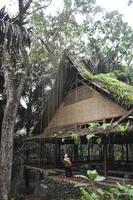 An old bamboo house in the forest photo