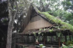 An old bamboo house in the forest photo